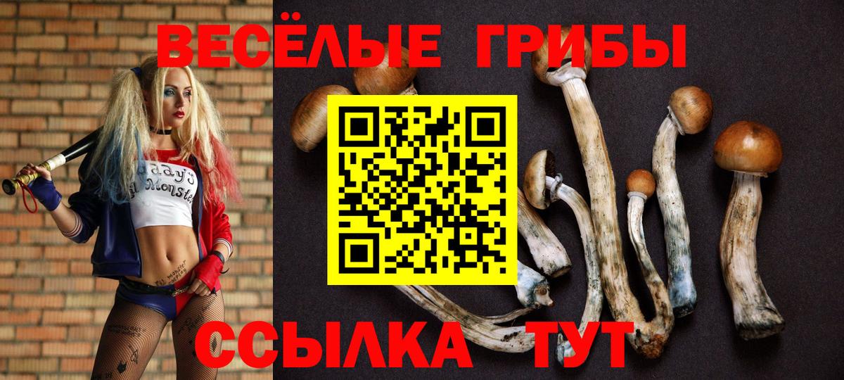 Галлюциногенные грибы прущие грибы Алейск