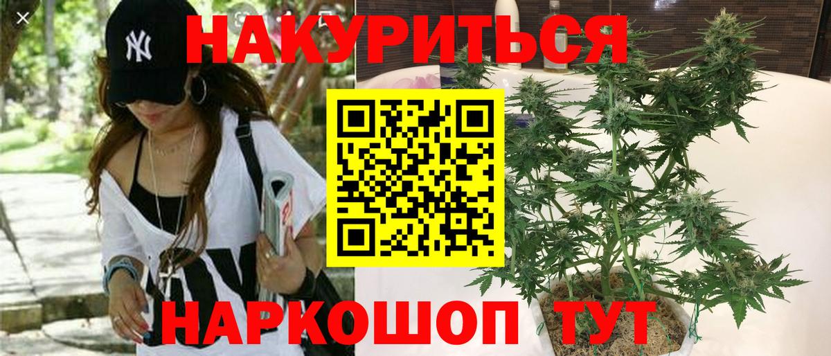 Шишки марихуана OG Kush Алейск